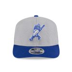 mens milwaukee brewers new era grayroyal 2025 batting practice 9seventy stretch-snap trucker hat | Milwaukee Brewers Hats MLB Hats & Jerseys Collection